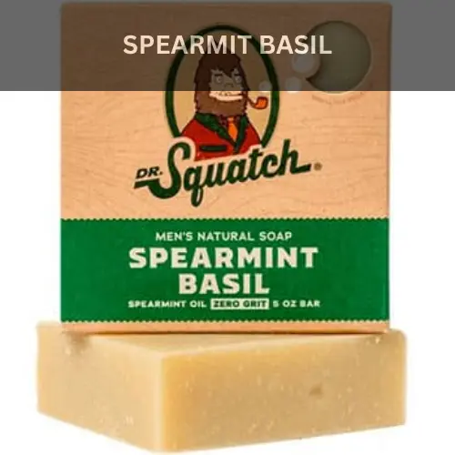 Best Dr Squatch Soap Scents 12