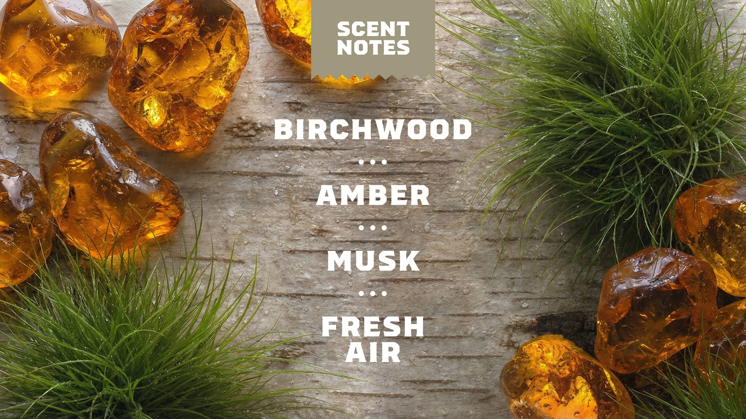 Dr. Squatch Moisturizing Birchwood Breeze - Image 4