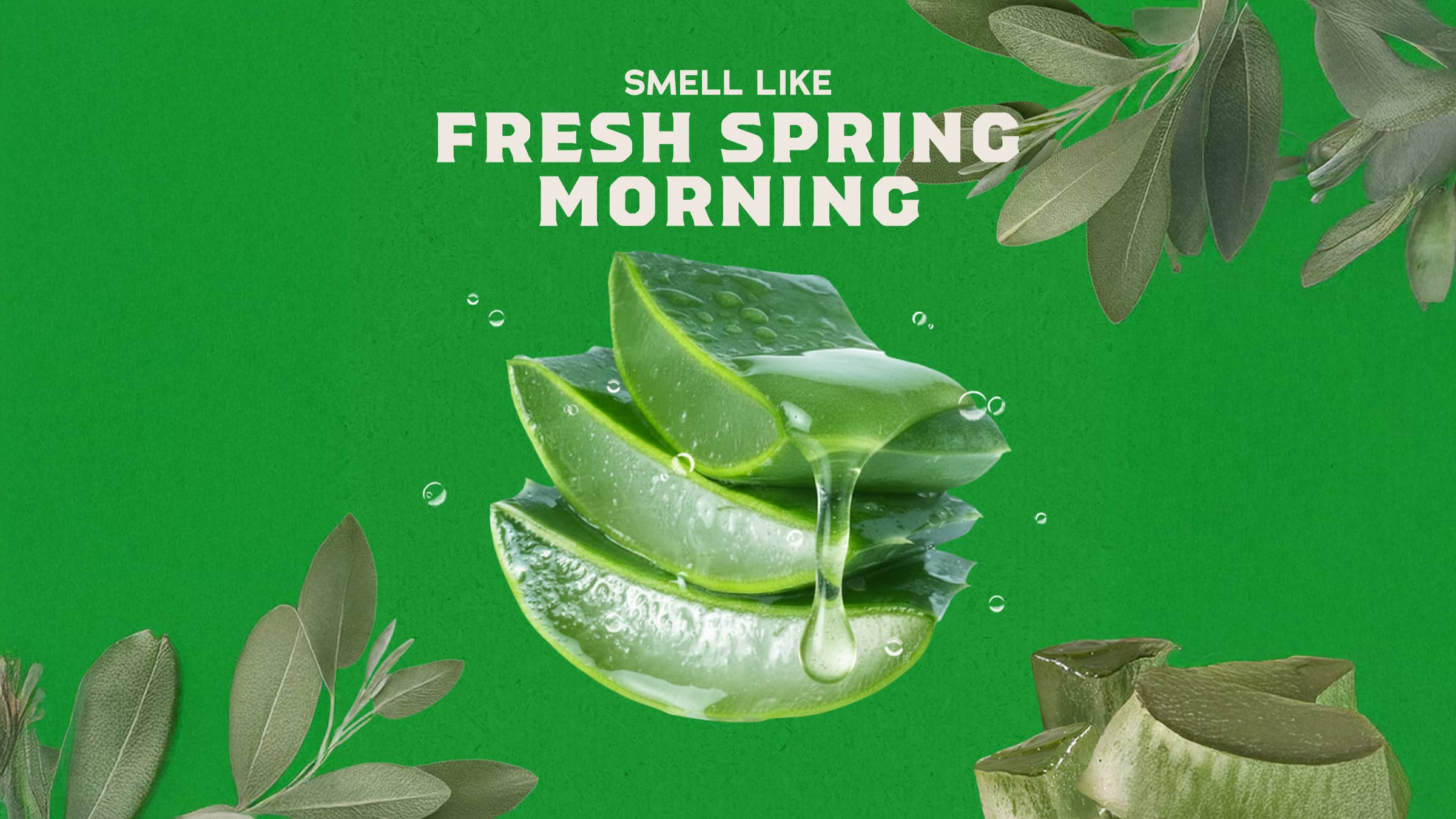 Dr. Squatch Moisturizing Cool Fresh Aloe - Image 3