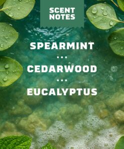 Alternative view of Dr. Squatch Moisturizing Rainforest Rapids Deodorant