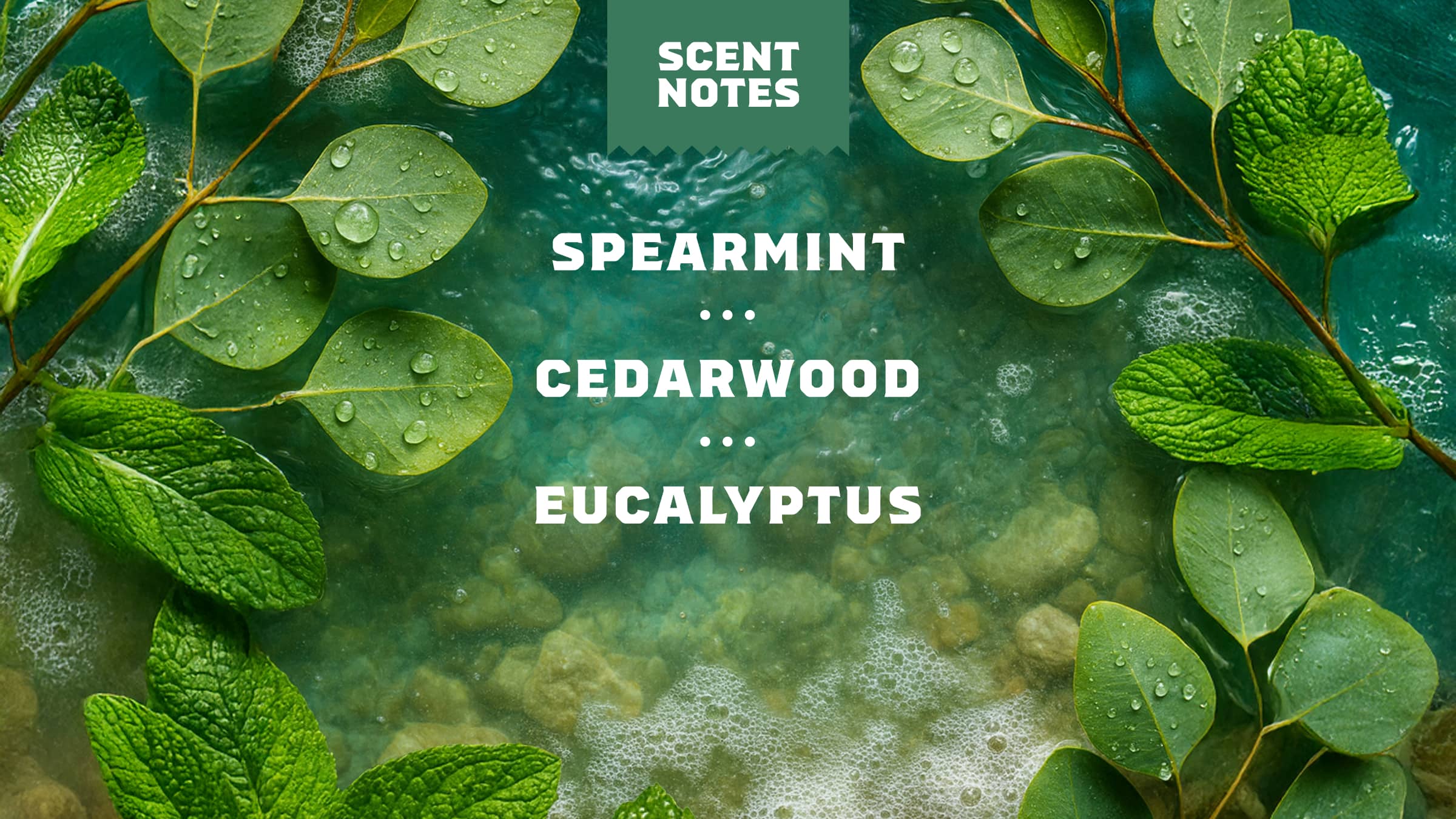 Dr. Squatch Moisturizing Rainforest Rapids Spray Deodorant - Image 4