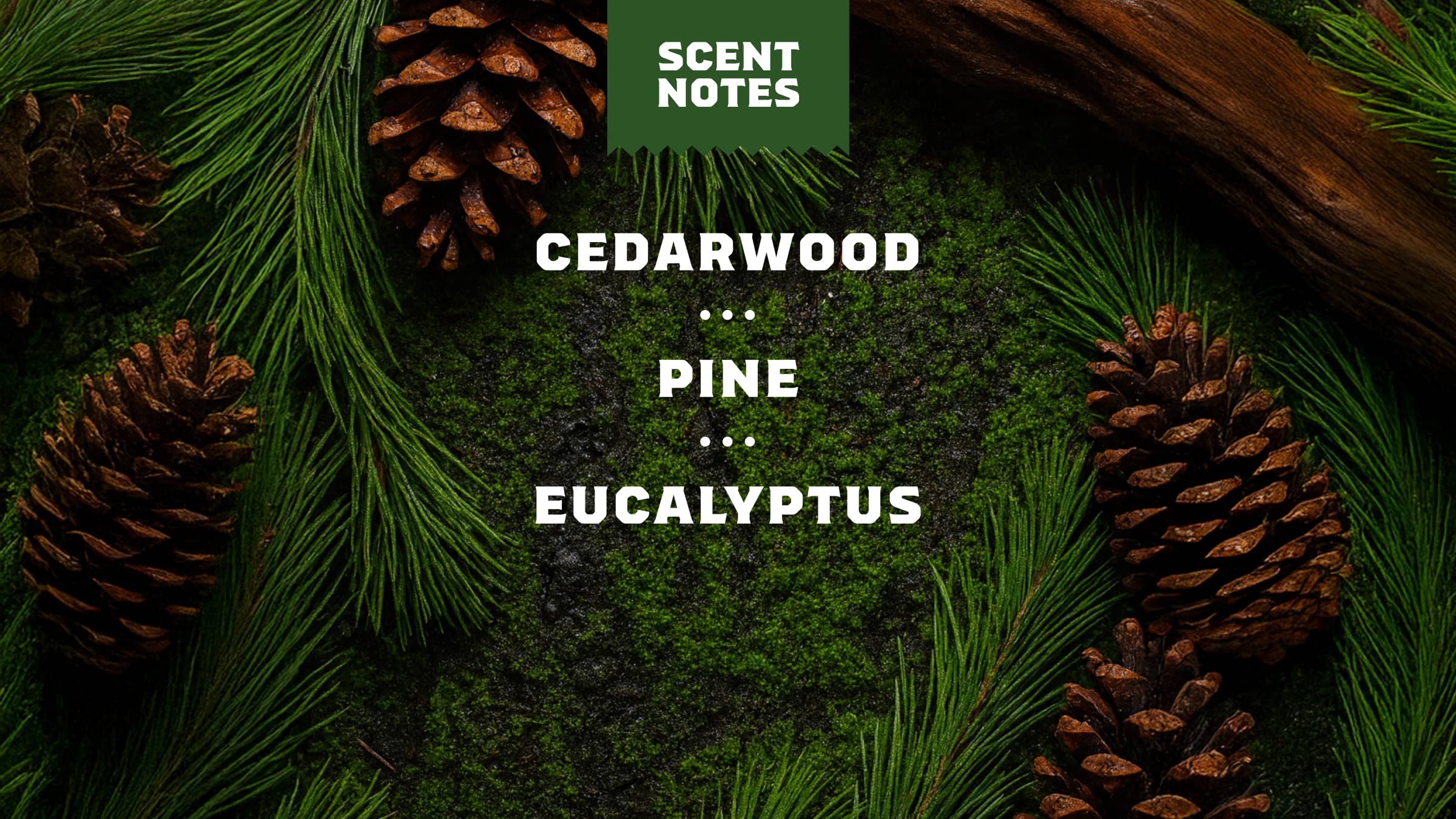 Dr. Squatch Moisturizing Pine Tar Spray Deodorant - Image 4