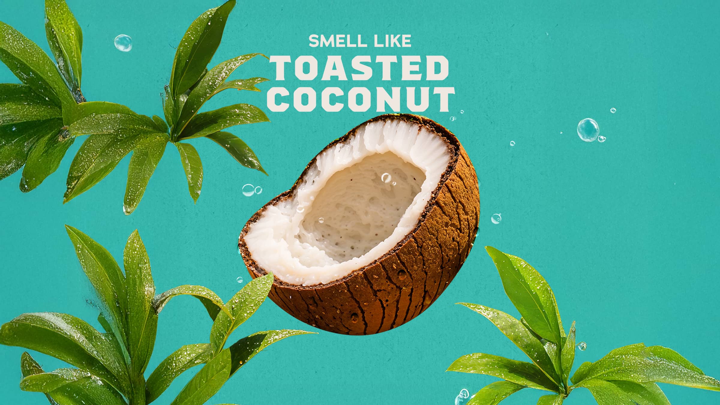 Dr. Squatch Moisturizing Coconut Castaway Conditioner - Image 3