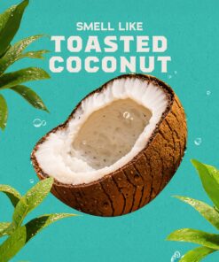 Alternative view of Dr. Squatch Moisturizing Coconut Castaway Invisible Glide Deodorant