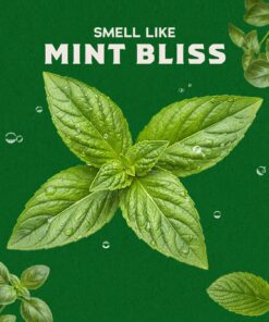 Alternative view of Dr. Squatch Moisturizing Spearmint Basil