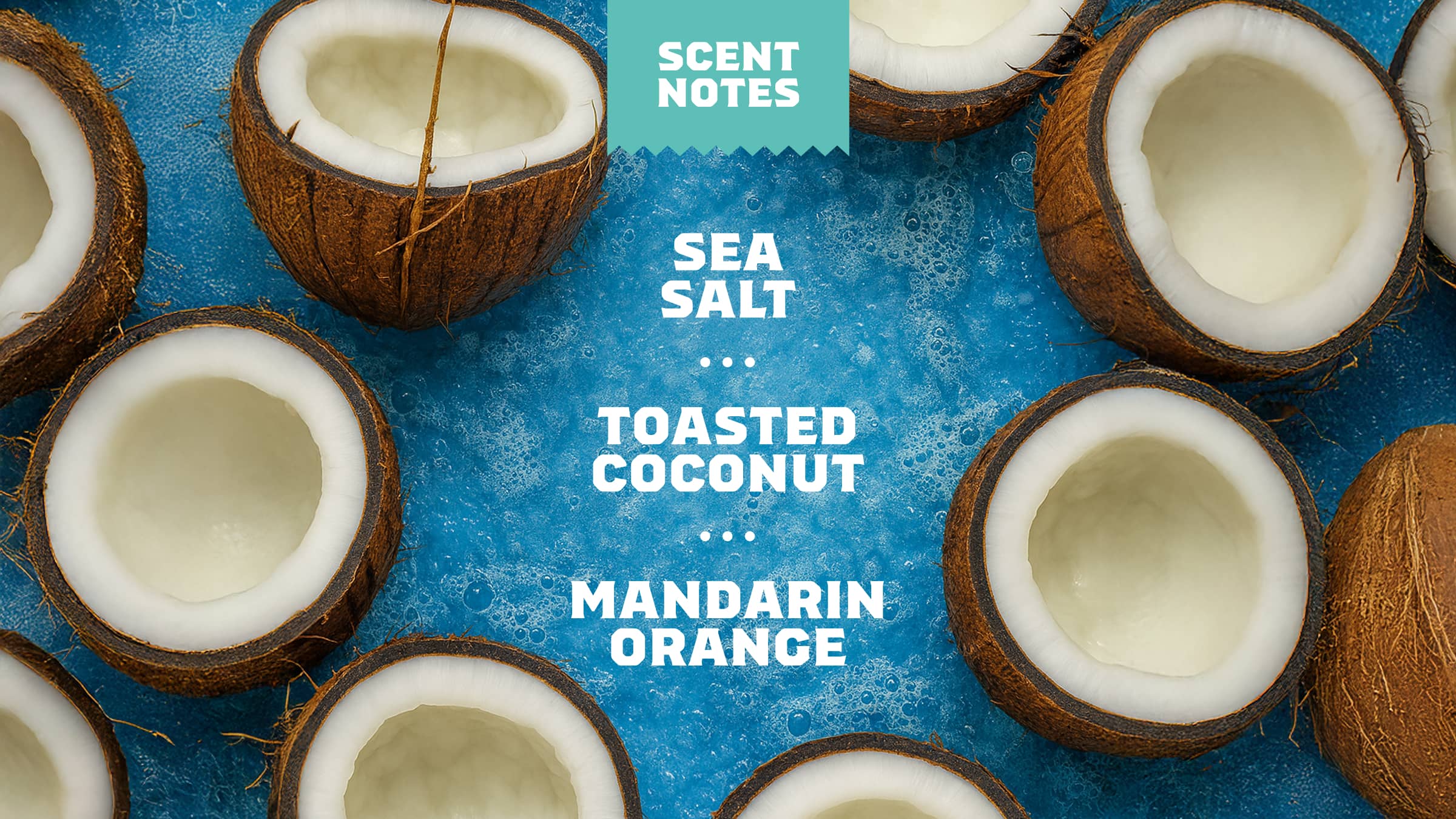 Dr. Squatch Moisturizing Coconut Castaway Conditioner - Image 4