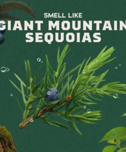 Alternative view of Dr. Squatch Moisturizing Sierra Storm Invisible Glide Deodorant