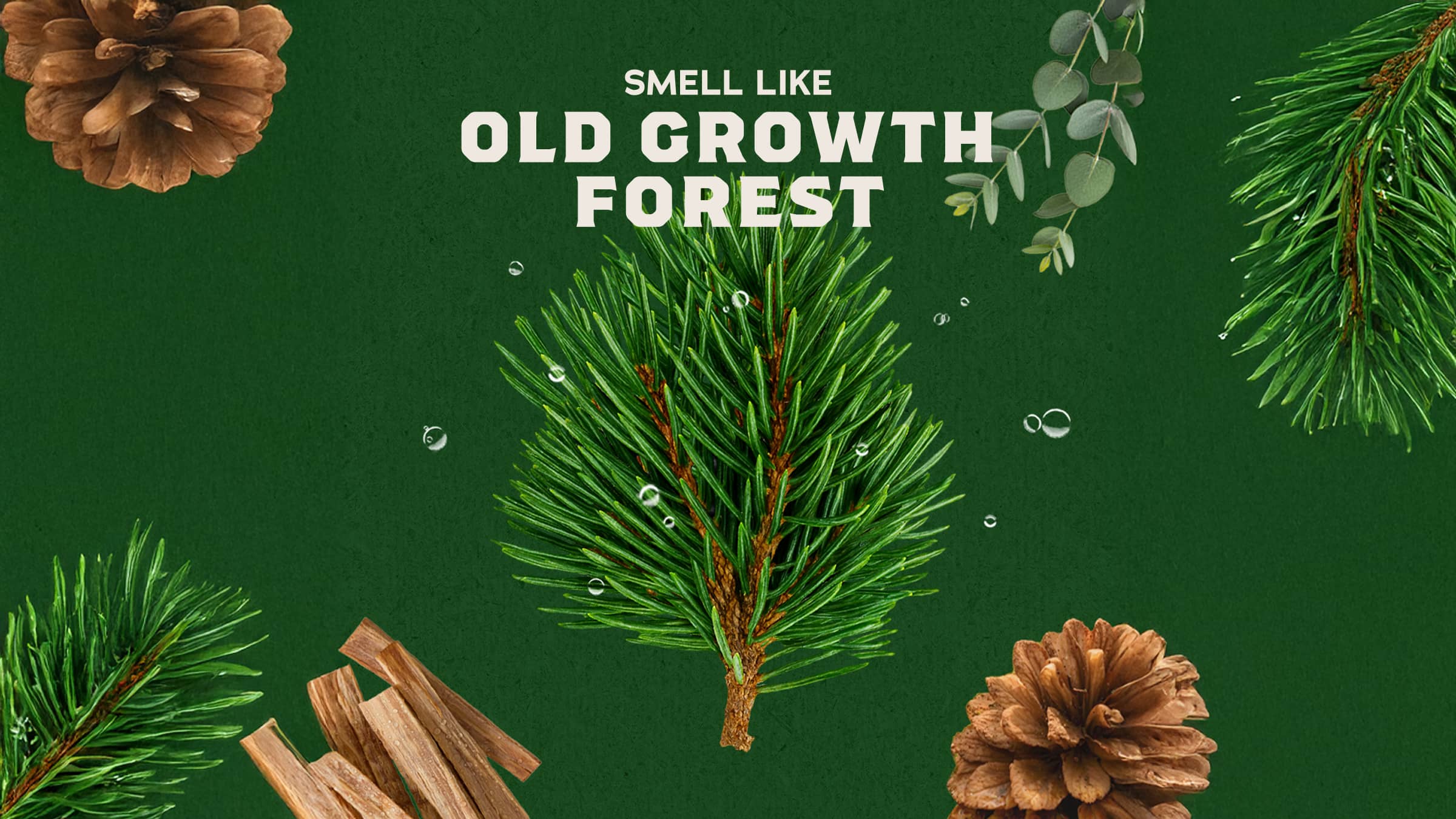 Dr. Squatch Moisturizing Pine Tar Spray Deodorant - Image 3